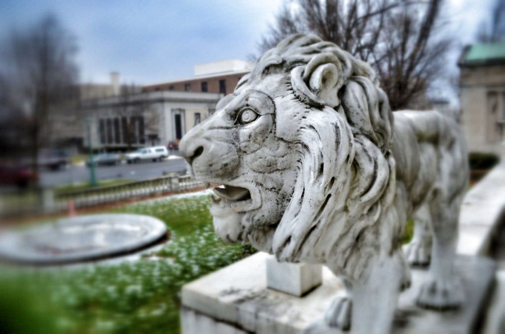 Marble Lion Roswell P. Flower Memorial Library