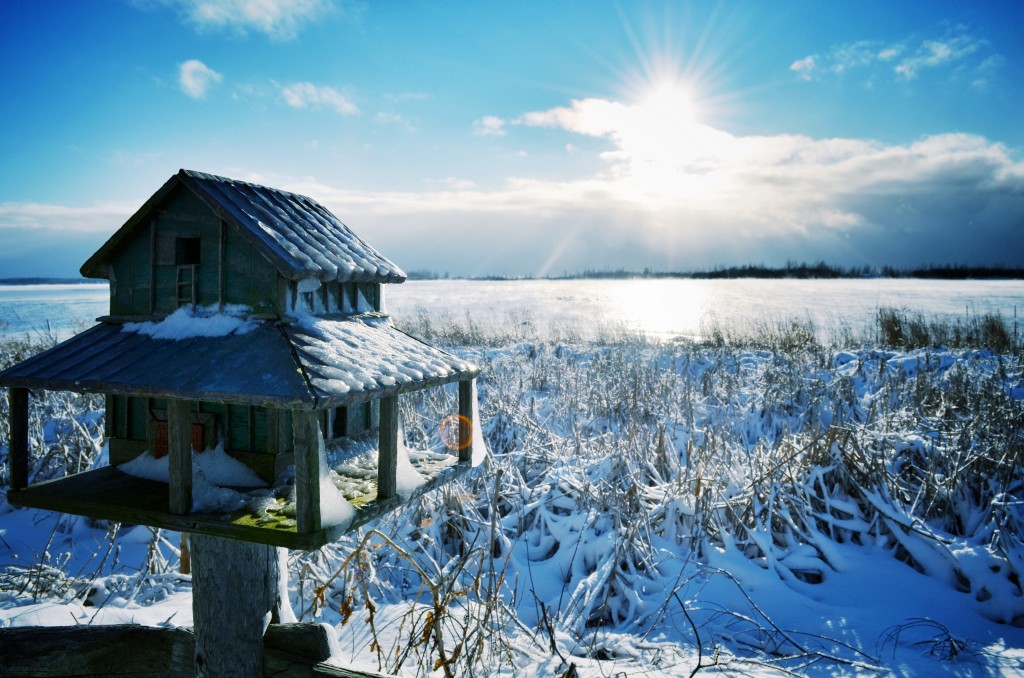 Winter Birdhouse