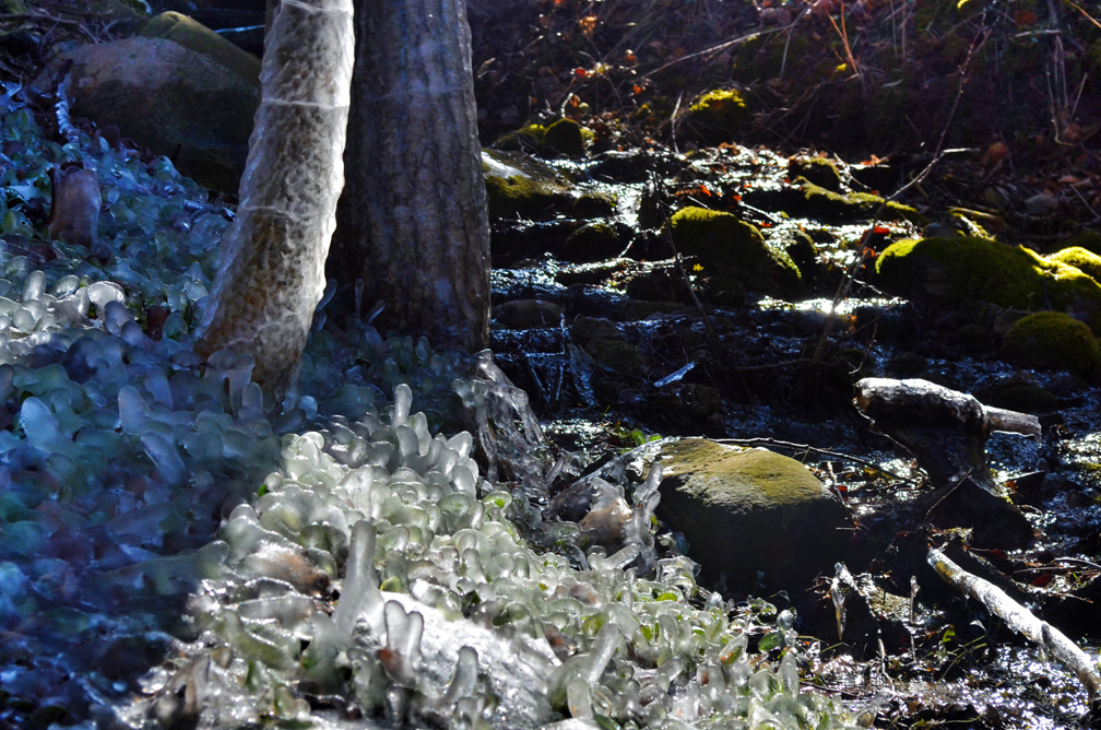 Frozen Ground