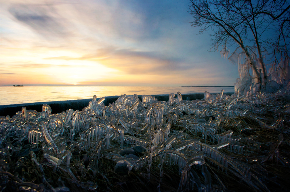 Icy Ground Cover 2