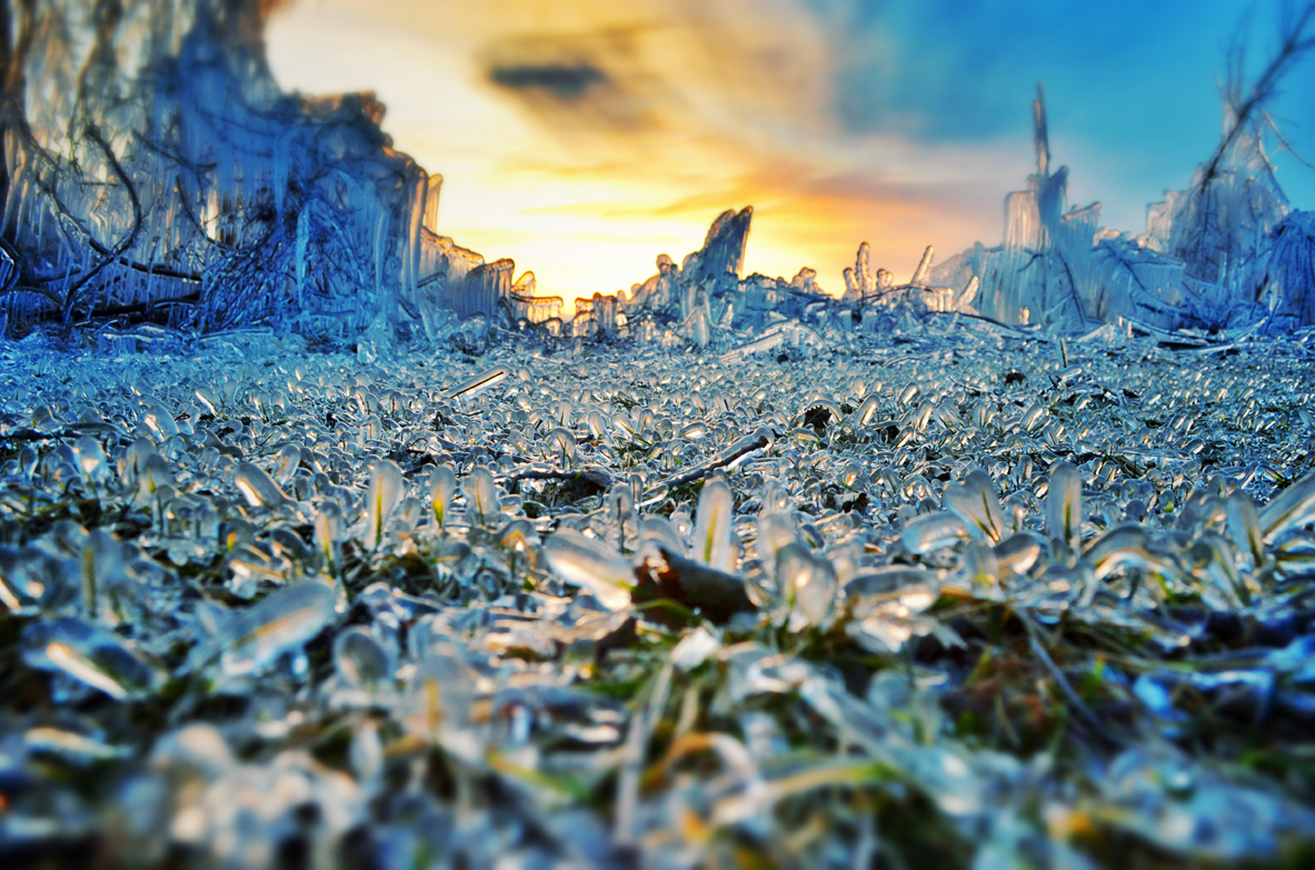 HDR Icy Ground Cover