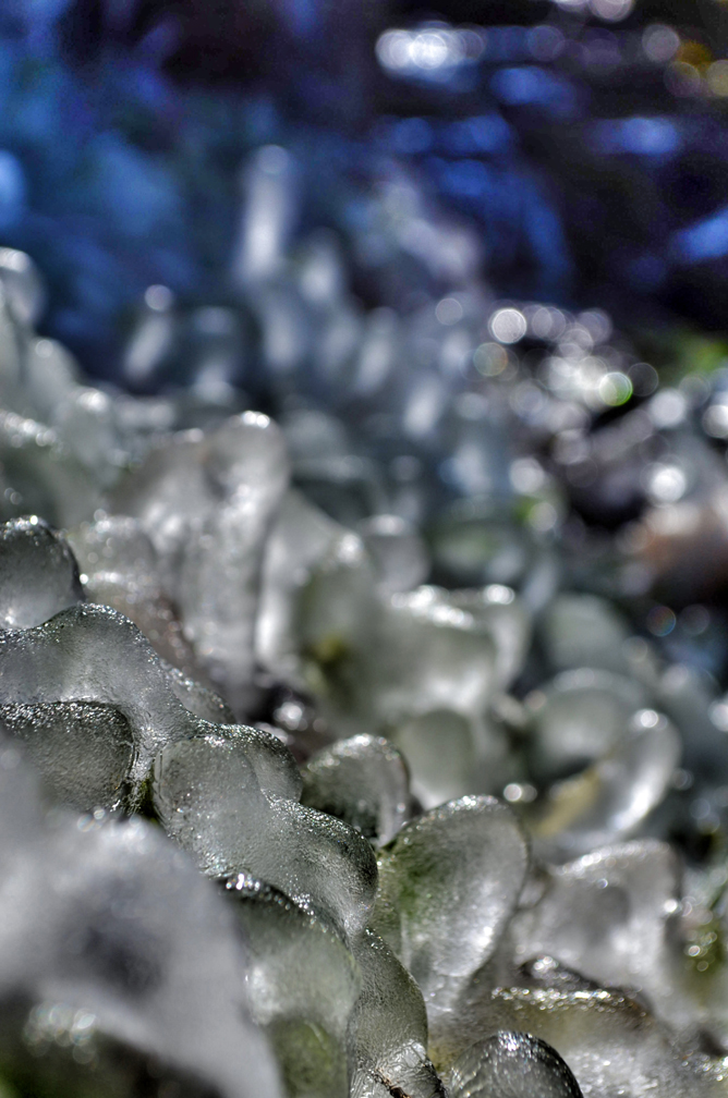 Ice Macro