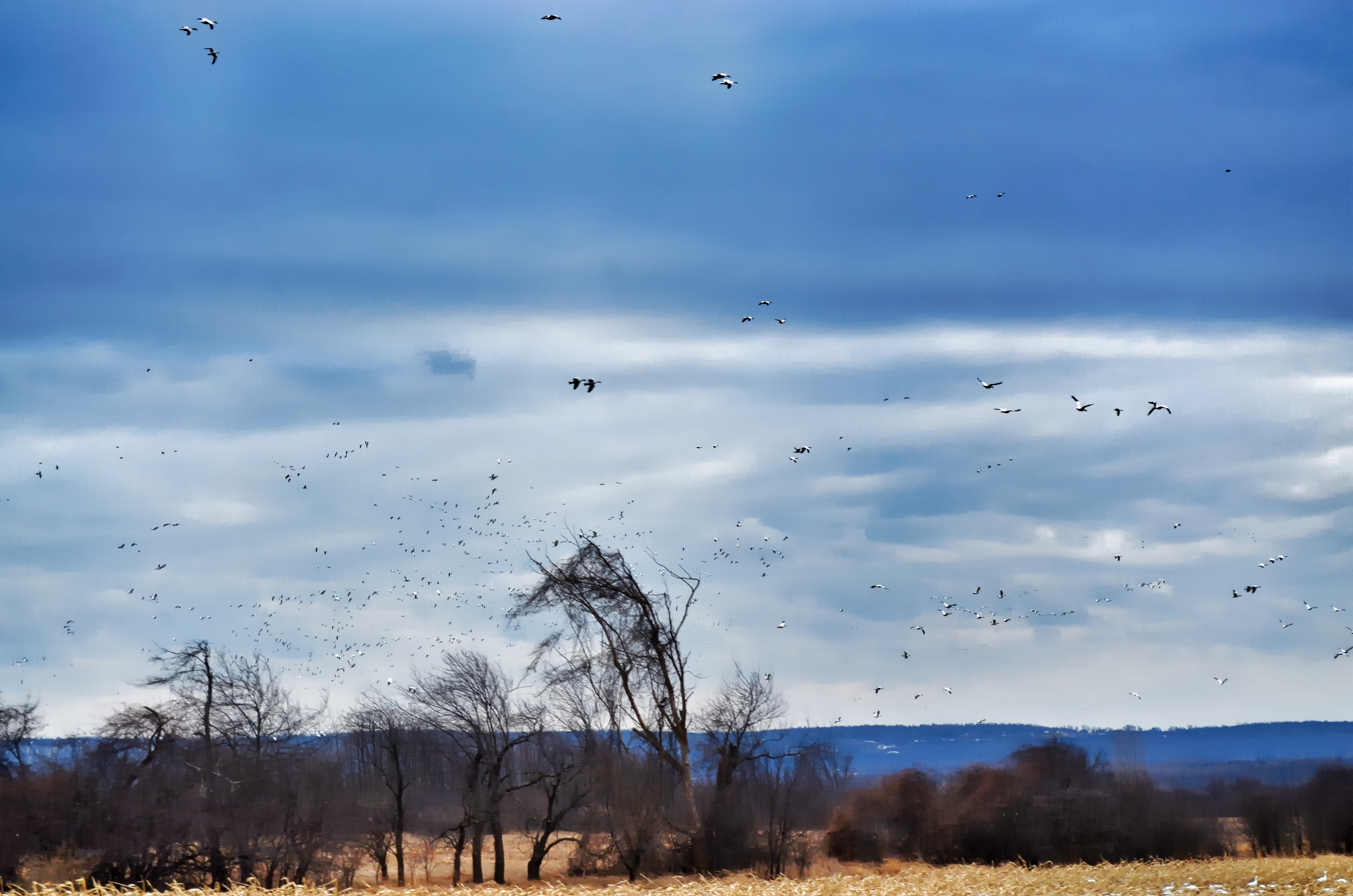 In Flight