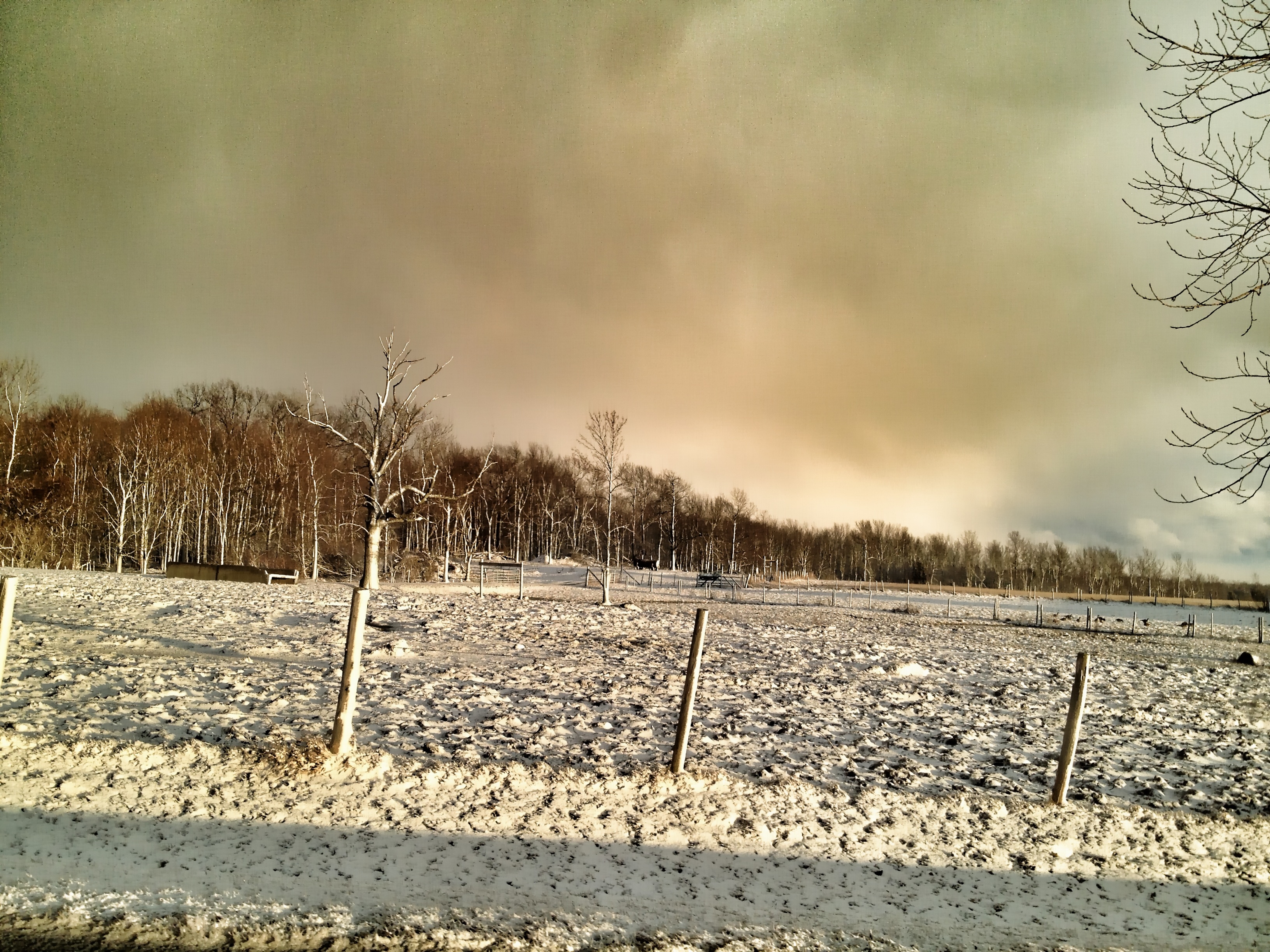 Storm Clouds