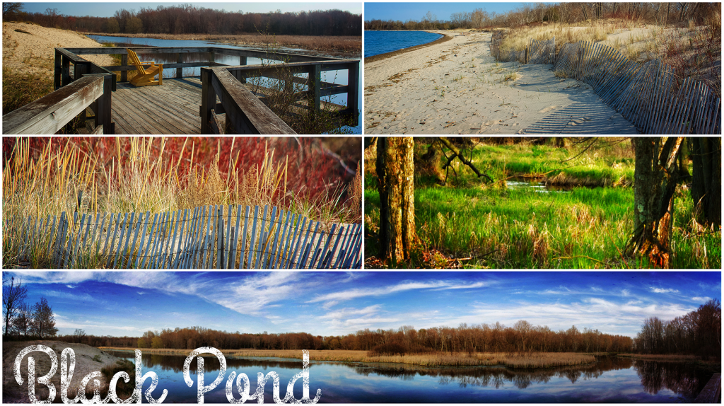 Black Pond Oswego County