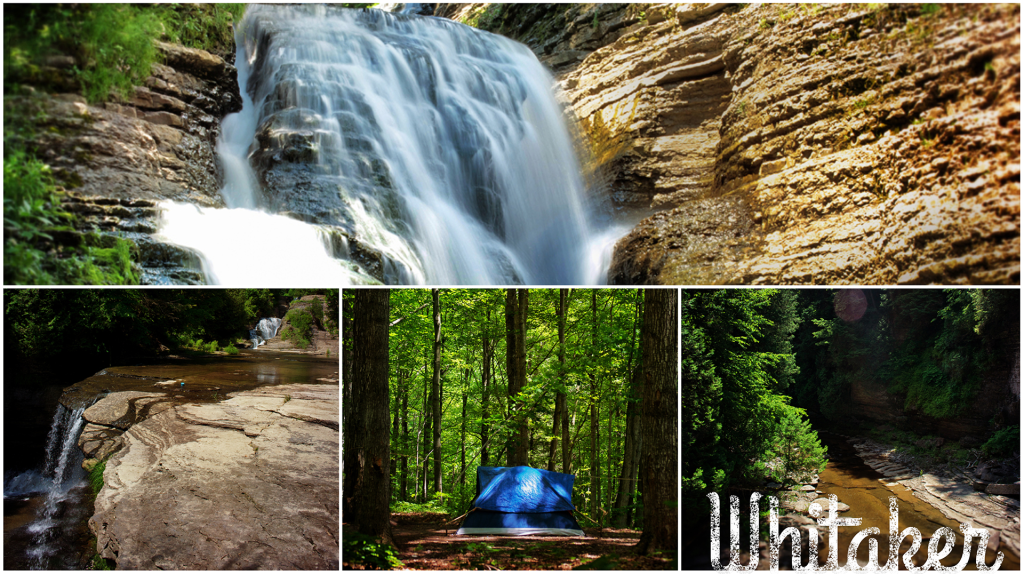 Whitaker Park Lewis County