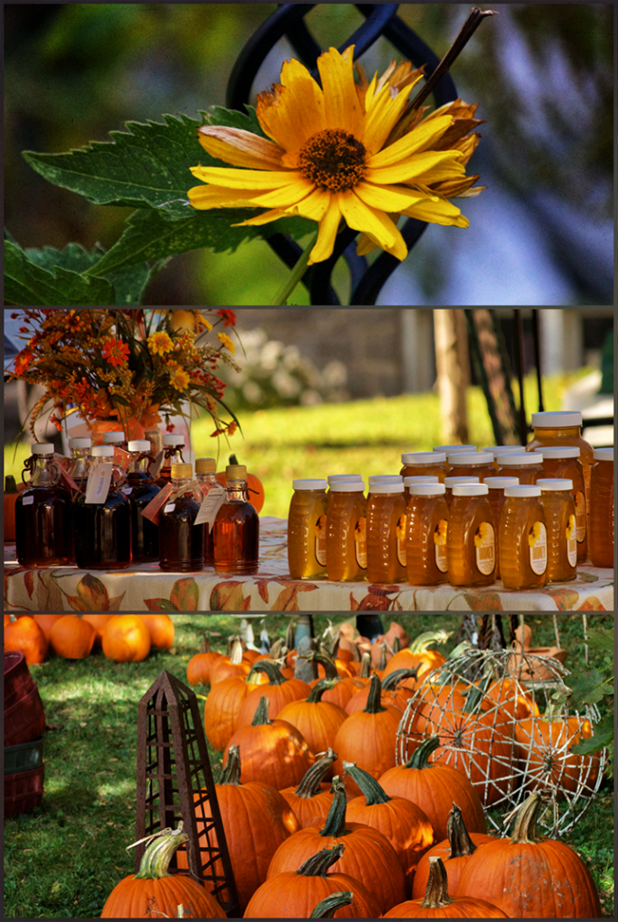 Fall goods in Sharon Springs, NY