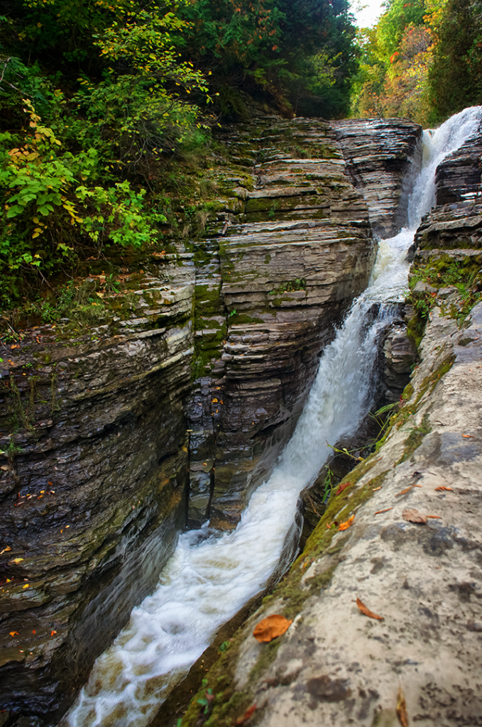 WhitakerWaterfall