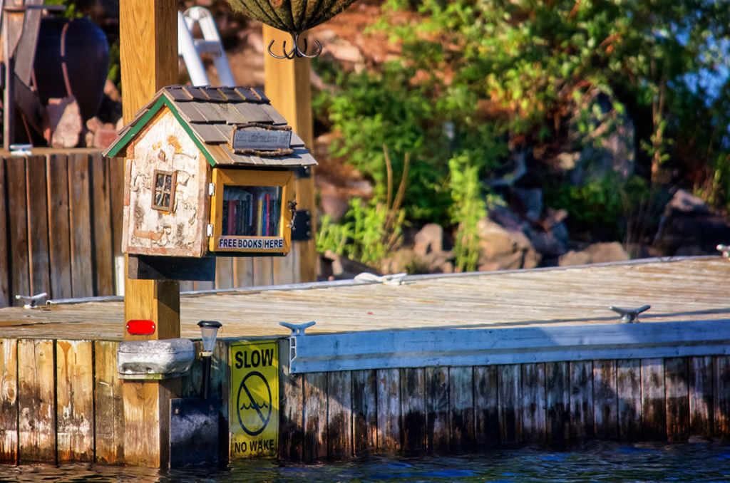 The World's Smallest Library