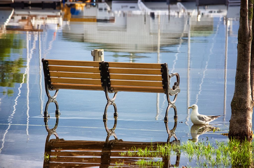 Flooding in Sackets Harbor, N.Y.